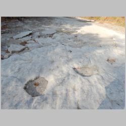 04-DSCN0898 holes maybe removed tracks.JPG